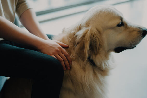İnyeksiya əvəzinə isti burun..?
