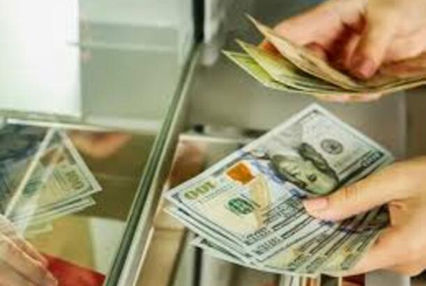 “Dolların valyuta ehtiyatlarındakı payının azalması maliyyə sabitliyinə risklər yaradır” - EKSPERT DANIŞDI