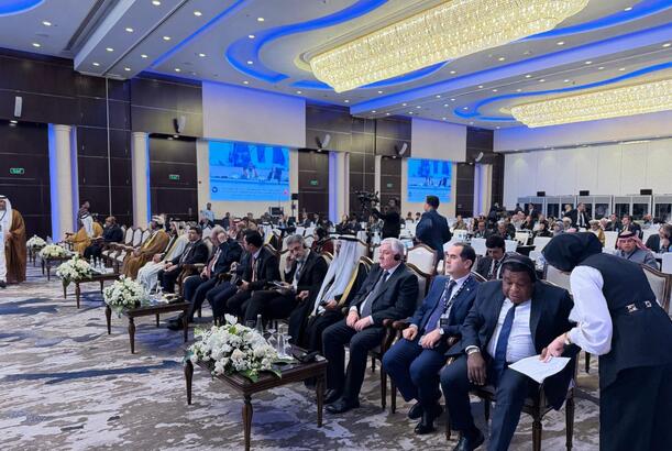 Azərbaycan nümayəndəsi Bəhreyndə APA Plenar Sessiyasında çıxış edib - FOTOLAR