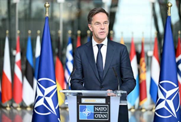 Rutte: “Rusiya ayı kimi görünmək istəyir, amma əslində o, bağ ilbizidir...”