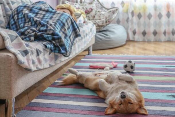 “Yerimi dəyişəndə yata bilmirəm”in səbəbi aşkarlanıb..?