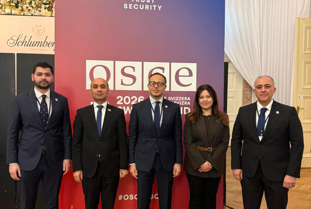 TÜRKPA nümayəndə heyəti Vyanada ATƏT PA-nın qış sessiyasında iştirak edir - FOTOLAR 