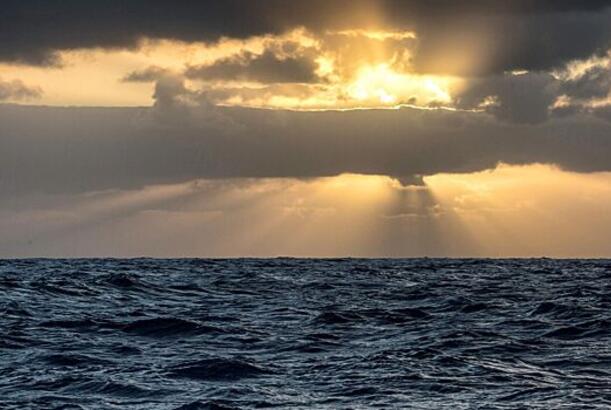 Okeanoloq okean sakinlərinin nisbətini təxmin edib...