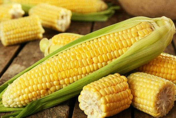 Azərbaycan qarğıdalı idxalını 62 %-dən çox azaldıb