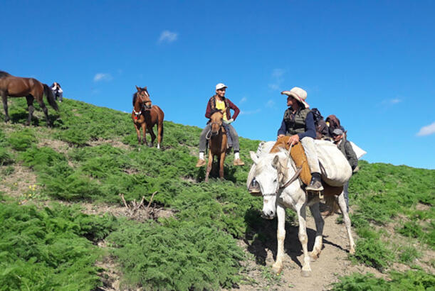 Dağlarda yaşayanların qan şəkərinin yüksək olması ehtimalı daha azdır...