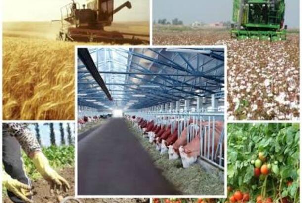 “İşğaldan azad edilmiş torpaqlar kənd təsərrüfatı və iqtisadi inkişafa zəmin yaradır” - DEPUTAT DANIŞDI