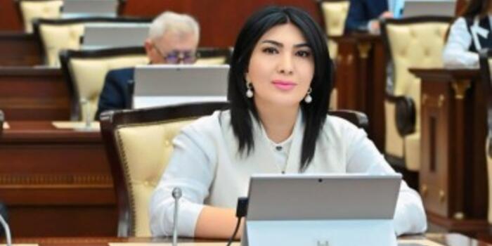 Milli kimliyin qorunması: məktəbdən başlayan məsuliyyət - MƏQALƏ
