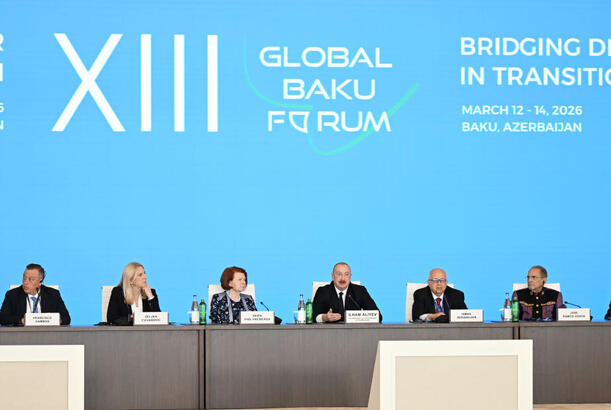 "Çoxvektorlu siyasət Azərbaycanın beynəlxalq mövqeyini gücləndirib" - DEPUTAT DANIŞDI