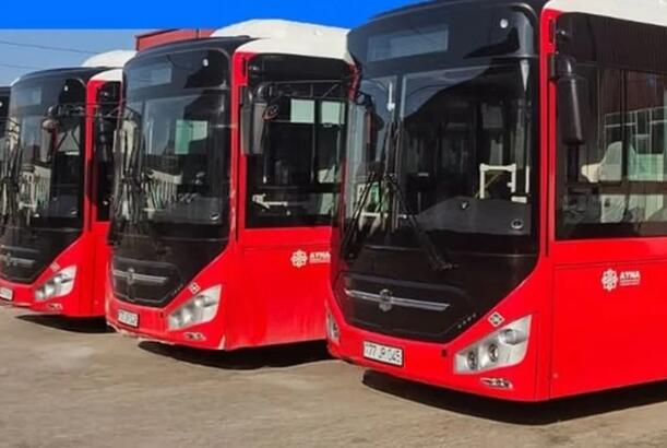 Bakıda 202 nömrəli marşrutun avtobusları yenilənir