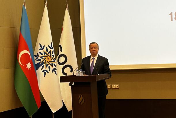 “Heydər Əliyevin müəyyən etdiyi neft strategiyası Azərbaycanın inkişafının əsasını təşkil edir” - Elçin Quliyev 