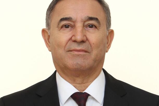 Professor: Yeni əməkhaqqı sistemi şəffaflıq və səmərəliliyin təminatçısıdır