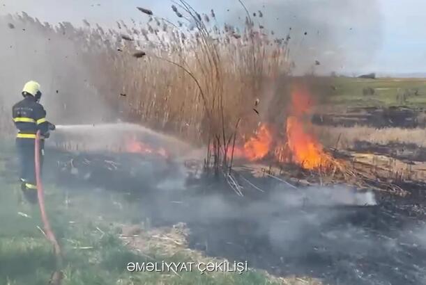Qazaxda 2 hektarlıq sahədə yanğın olub