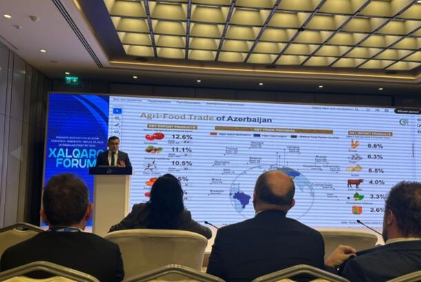 Özbəkistanda Azərbaycanın aqrar inkişafı və elmi potensialı təqdim olunub