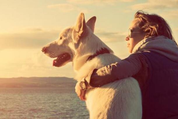 İt əvvəllər düşünüləndən daha tez insanın ən yaxşı dostu olub...