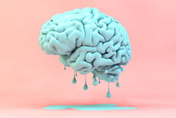 Alman fiziki şüurun beyində yaranmadığını irəli sürdü...