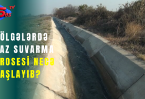 Bölgələrdə yaz suvarma prosesi necə başlayıb?- SON DƏQİQƏ
