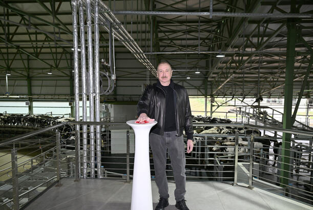 Heyvandarlığın inkişafı prioritet istiqamətlər kimi  - ANALİZ