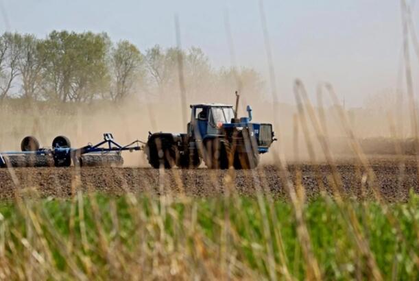 Azərbaycanda payızlıq əkinlərə görə subsidiya alanların sayı 278 minə çatıb