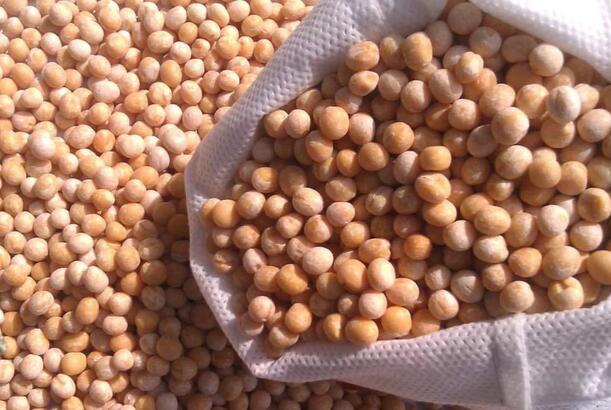 Azərbaycan Rusiyadan noxud tədarükünü kəskin artırıb