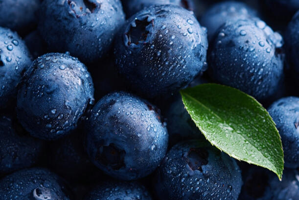 “Beyin 60 faiz yağdan ibarətdir”: hansı qidalar yaddaşı gücləndirir...