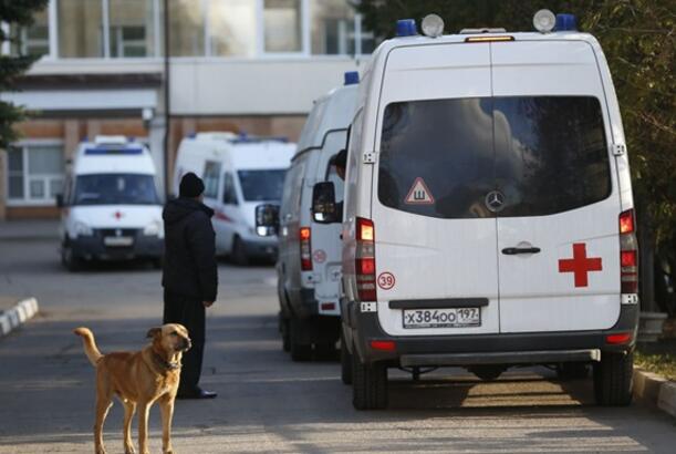 Rusiyanın 16 vilayətində quduzluq xəstəliyi yayılıb - XƏBƏRDARLIQ