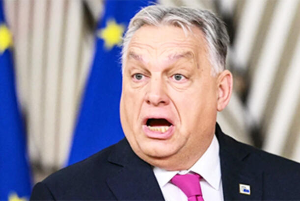 “Orban bütün təsirlərinə baxmayaraq, uduzmaq riski daşıyır...”