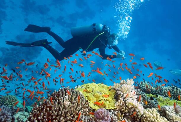 Dalğıcların 2026-cı ildə ziyarət etmək arzusunda olduğu 6 yer...