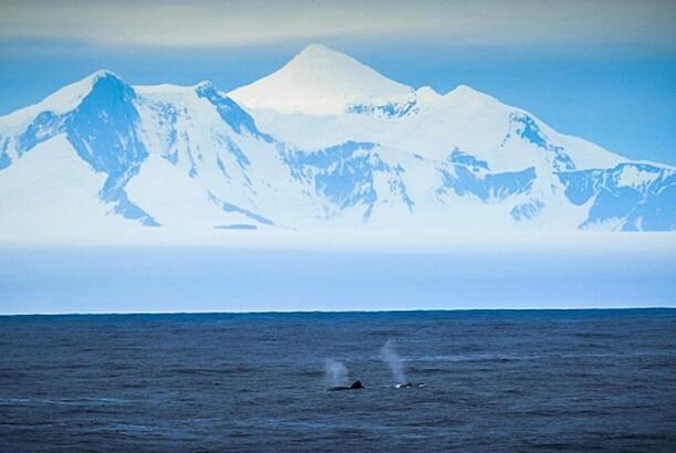 Yer kürəsinin buzlaqları həyəcanverici bir sürətlə kiçilir...