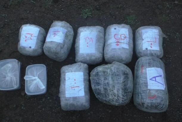 Bu ilin 3 ayı ərzində 76 milyon manatlıq narkotik dövriyyədən çıxarılıb