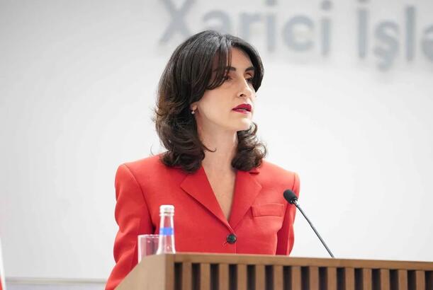 Foreign Minister: Georgia, Azerbaijan enjoy strategic-level relations