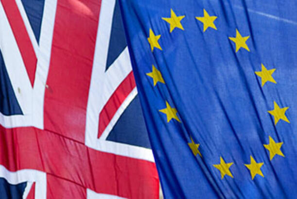 Britaniyalıların yarıdan çoxu Aİ-yə qayıtmağı dəstəkləyir...