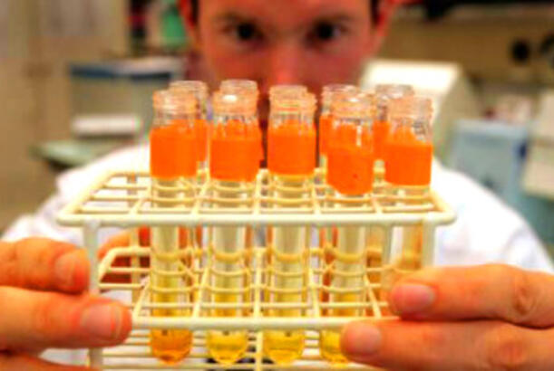 Zəhərlərin sintezi və dopinq istehsalında eyni şəxslər iştirak ediblər...