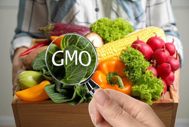 “Azərbaycanda GMO məhsullarının idxalı qanunvericilik çərçivəsində tənzimlənir” - EKSPERT DANIŞDI