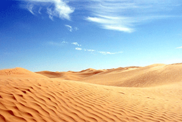 Səhra qumunu münbit torpağa çevirən bir şey kəşf edilib...