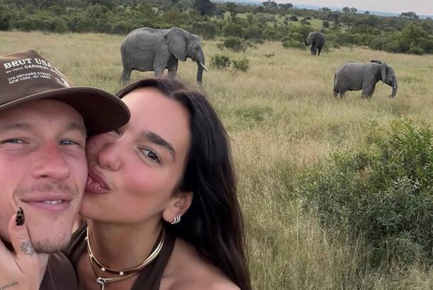 Ekzotik heyvanlar və gün batımı...