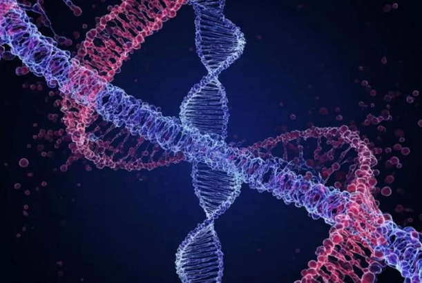 Genetiklər gənclərdə qəfil ölümün gizli bir səbəbini aşkar ediblər...