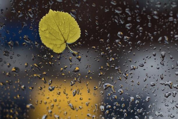 Azərbaycanda bəzi yerlərə yağış yağır - FAKTİKİ HAVA