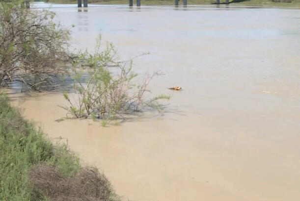 ADSEA: Kür çayında suyun səviyyəsi enir, fəsadların qarşısı alınır