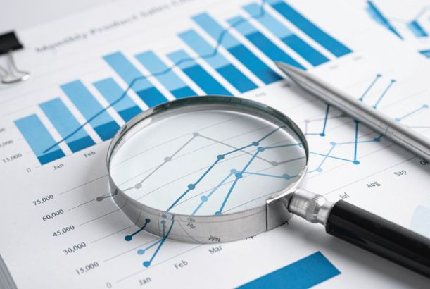 Müstəqil Auditorun Hesabatı