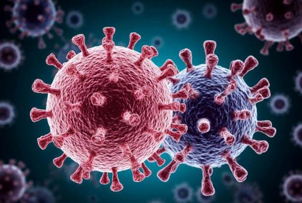 Afrikada insanları yoluxdura bilən yeni bir koronavirus kəşf edilib...