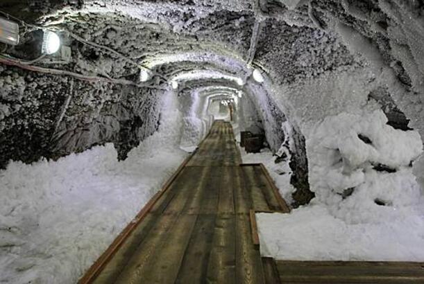 Əbədi buzlaqlarda virusların təhlükəsi qiymətləndirilib...