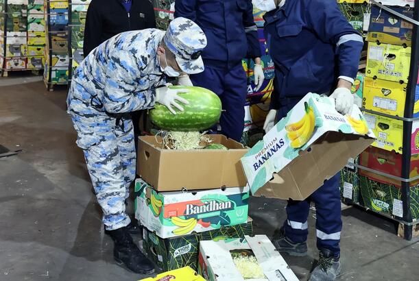 "Qarpız" yükündə 31 kiloqramdan artıq narkotik vasitə aşkar edilib - FOTOLAR