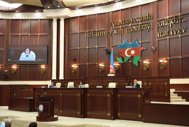 Milli Məclisdə İnsan alverinə qarşı mübarizə üzrə Milli Koordinatorun 
illik məlumatı dinlənilib