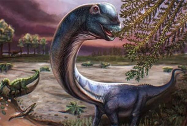 Alimlər nəhəng dinozavrın yeni bir növünü müəyyən ediblər...