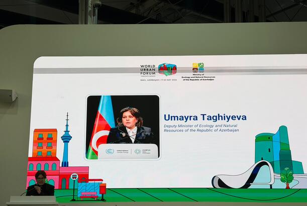 “Bu təşəbbüs yaşıl rəqəmsal və “İqlim Fəaliyyəti üçün Dünya Su Təşəbbüsü”nü də əhatə edir” - UMAYRA TAĞIYEVA