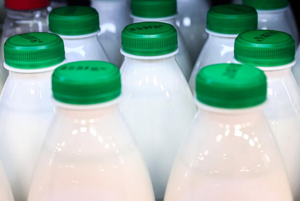 Kefir və qatıq: Bağırsaq sağlamlığı üçün hansı daha yaxşıdır?