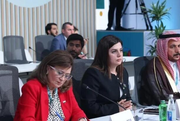 “WUF13 parlamentlərarası əməkdaşlığın gücləndirilməsi üçün mühüm platformadır” - PƏRVANƏ VƏLİYEVA 