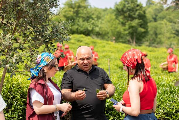 Jurnalistlər üçün  plantasiyasına mediatur təşkil olunub