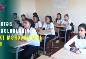 Məktəb psixoloqlarının vaxt məhdudiyyəti var