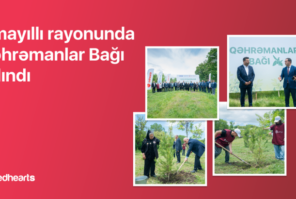 İsmayıllıda 189 şəhidin xatirəsinə “Qəhrəmanlar Bağı” salındı